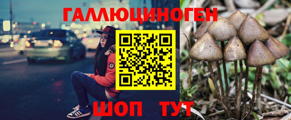Галлюциногенные грибы прущие грибы  Вход с VPN  Казань 